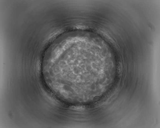 X0000113250639200910081319