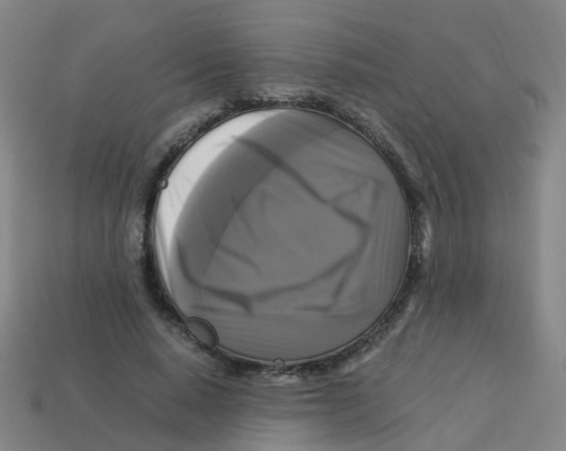 X0000113250640200910081319