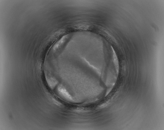 X0000113250641200910081319