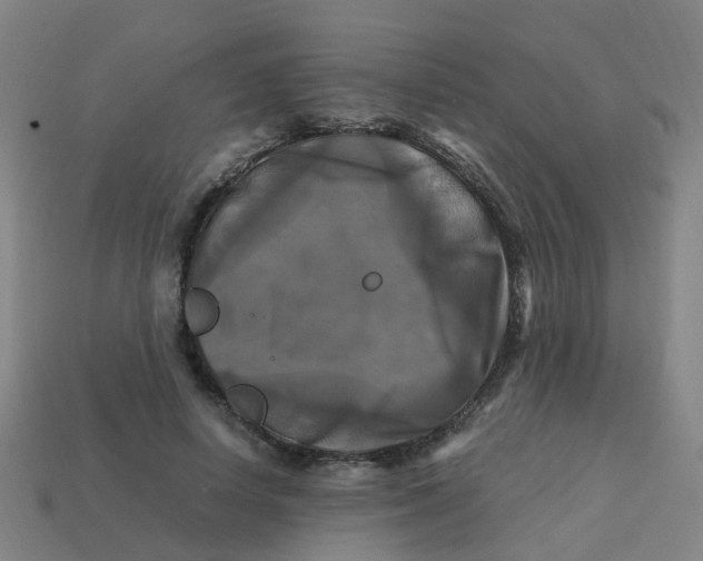 X0000113250642200910081319