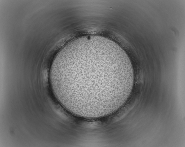 X0000113250646200910081319