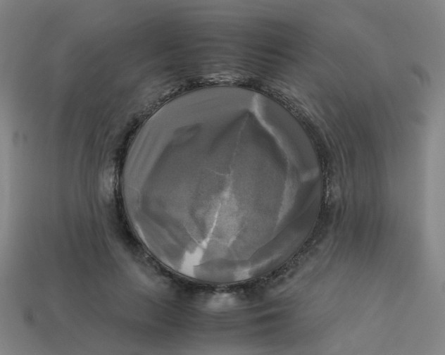 X0000113250647200910081319