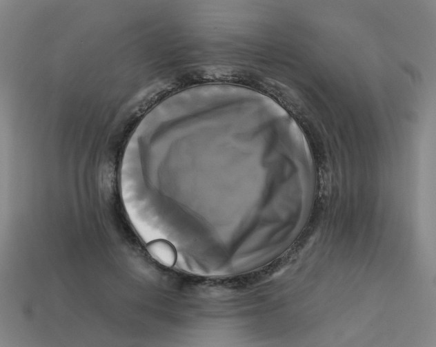 X0000113250648200910081319