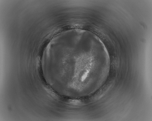 X0000113250649200910081319