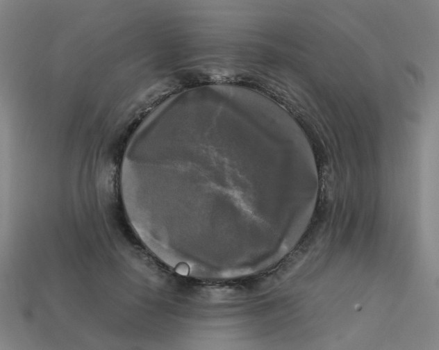 X0000113250650200910081319