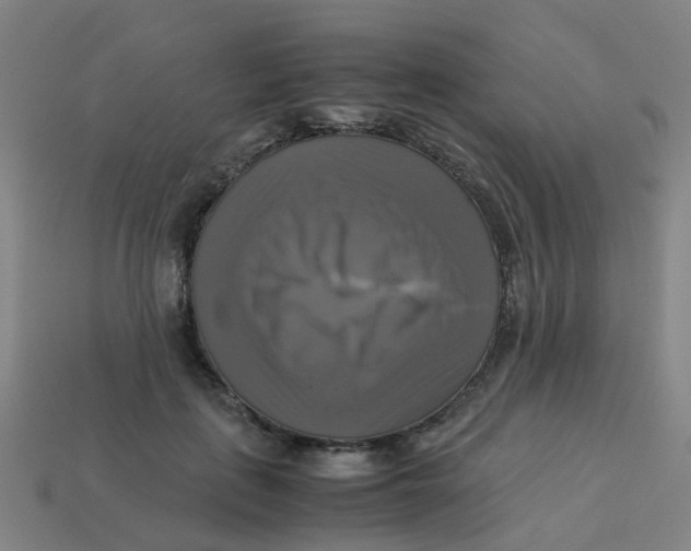 X0000113250651200910081319