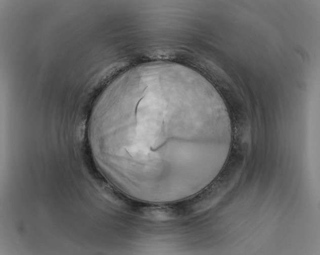 X0000113250652200910081319