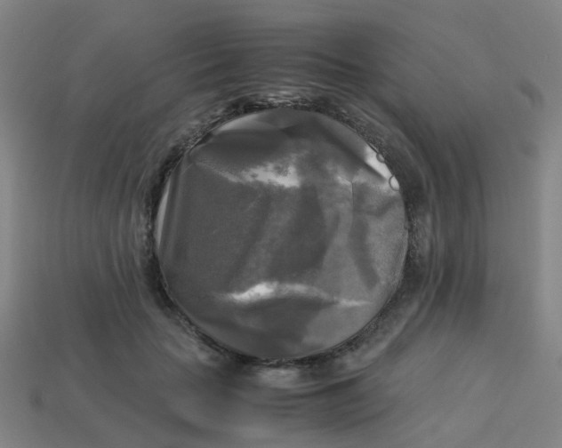 X0000113250653200910081319