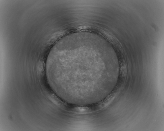 X0000113250654200910081320