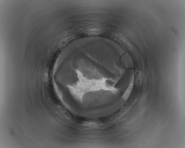 X0000113250655200910081320