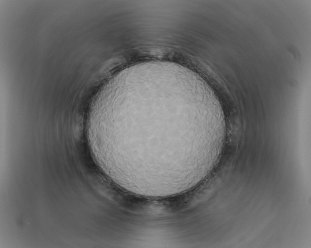 X0000113250656200910081320