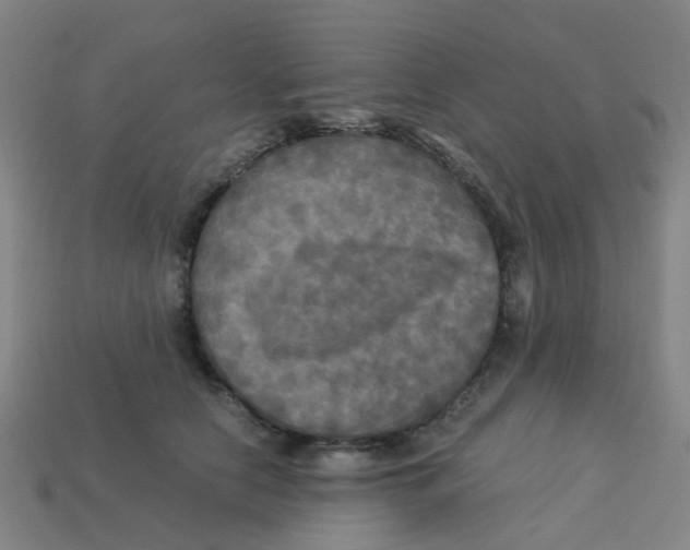 X0000113250658200910081320