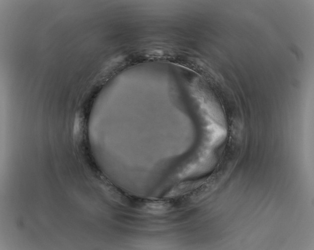 X0000113250659200910081320