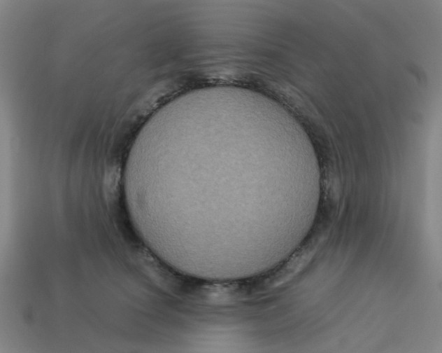 X0000113250660200910081320