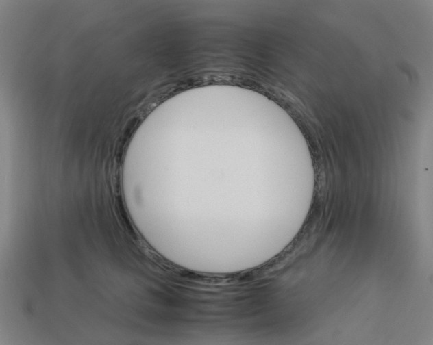 X0000113250661200910081320