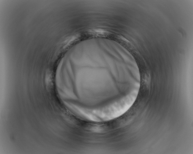 X0000113250663200910081320