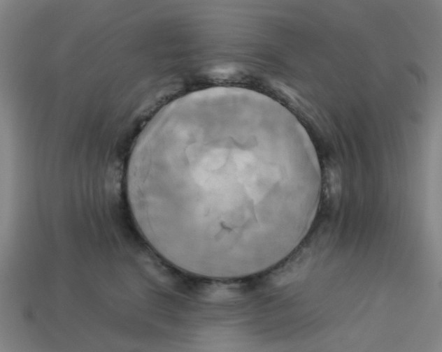 X0000113250664200910081320