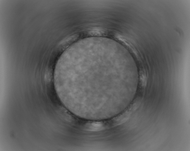 X0000113250665200910081320