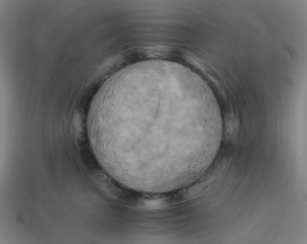 X0000113250667200910081320