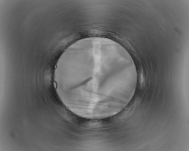 X0000113250668200910081320