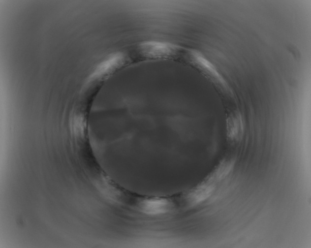 X0000113250669200910081320