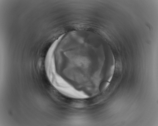 X0000113250671200910081320