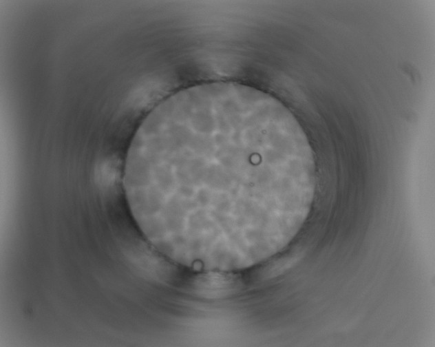 X0000113250672200910081320