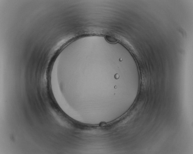 X0000113250674200910081319