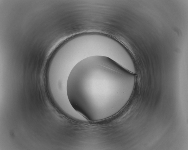 X0000113250676200910081319