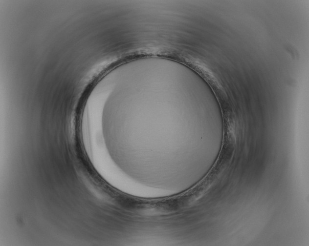 X0000113250678200910081319