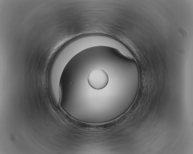 X0000113250680200910081319