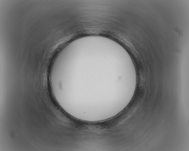 X0000113250681200910081319