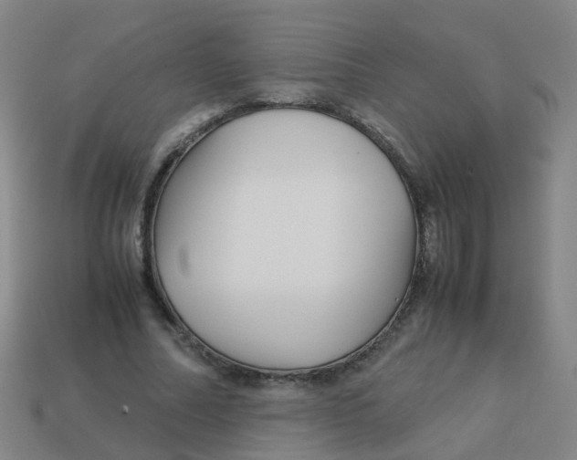 X0000113250682200910081319