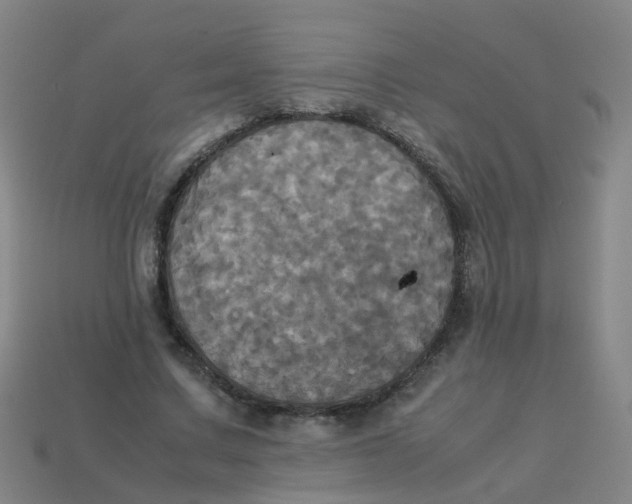 X0000113250683200910081319