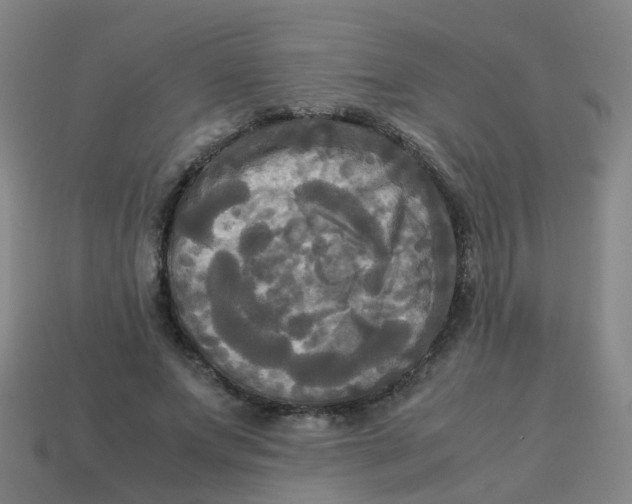 X0000113250687200910081319