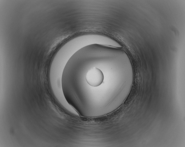 X0000113250688200910081319