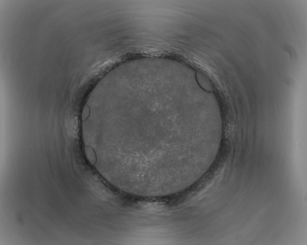 X0000113250689200910081319