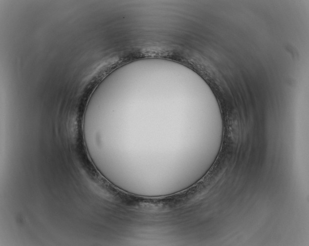 X0000113250690200910081319