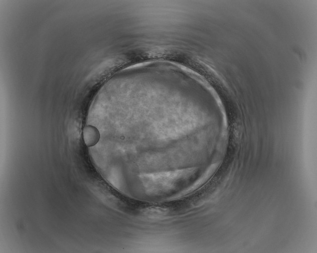 X0000113250691200910081319