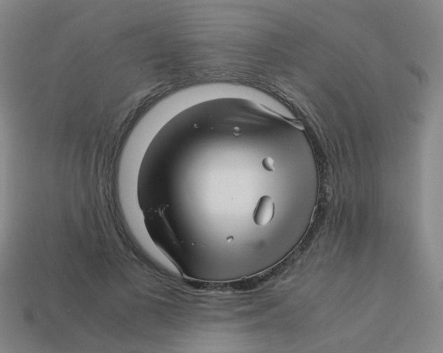 X0000113250693200910081319