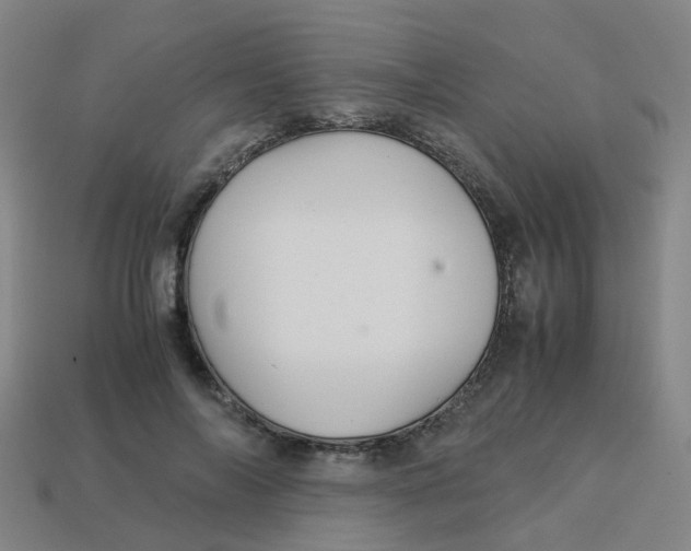 X0000113250694200910081319