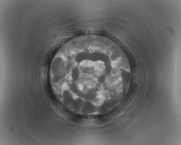 X0000113250695200910081319