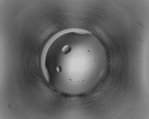 X0000113250696200910081319