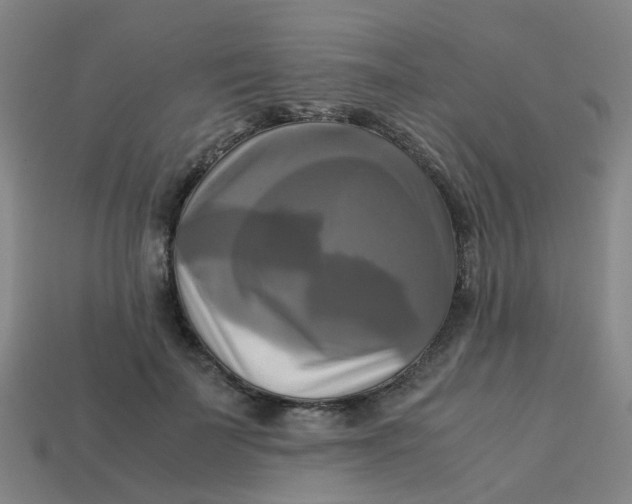 X0000113250699200910081319