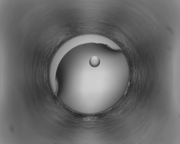 X0000113250700200910081319