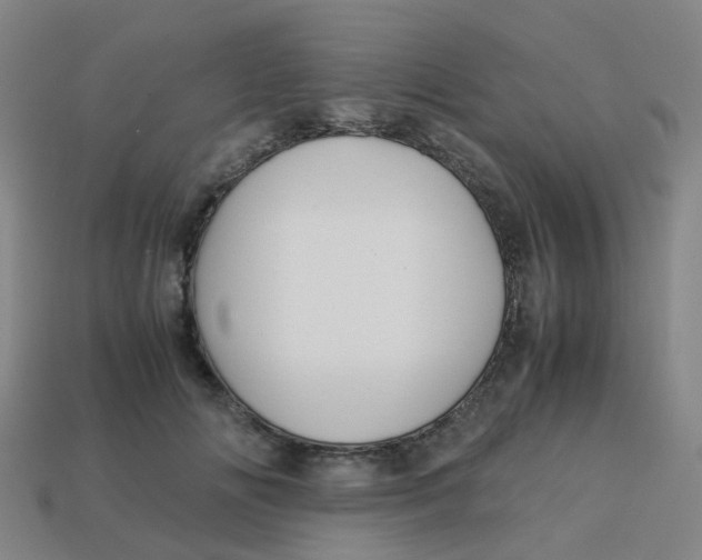 X0000113250702200910081319