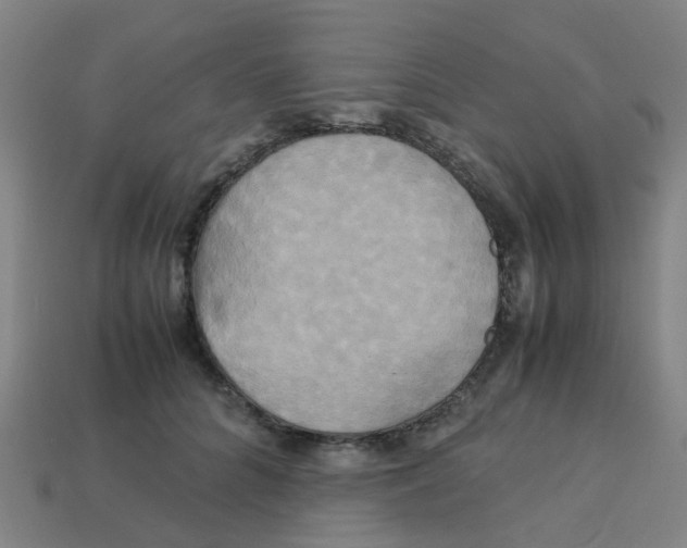 X0000113250704200910081319