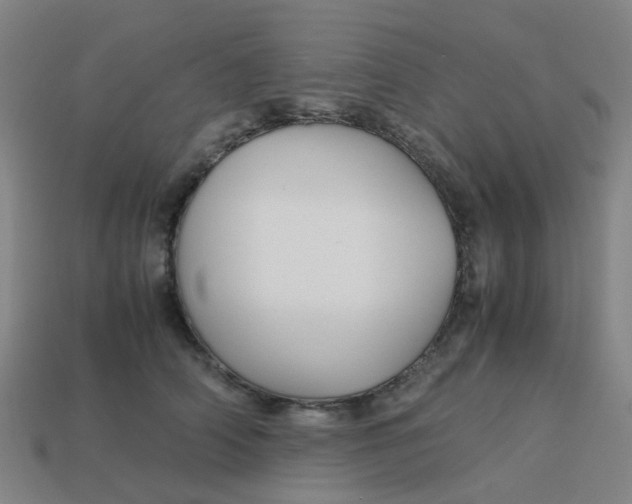 X0000113250706200910081319