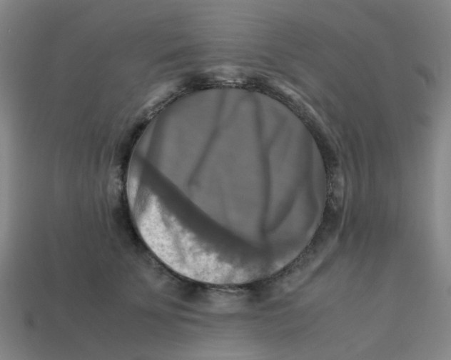 X0000113250707200910081319