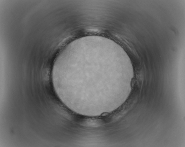 X0000113250708200910081318